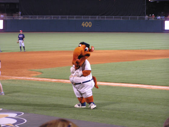 Big Mo - The Biscuits mascot